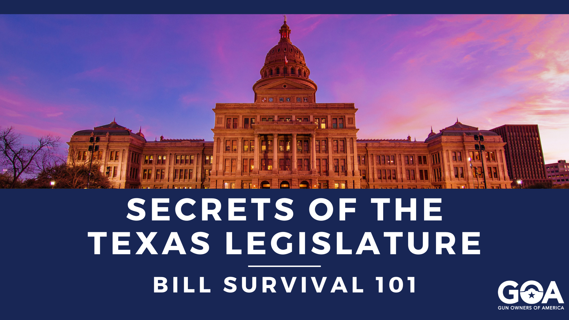 Secrets of the Texas Legislature Bill Survival 101 GOA Texas